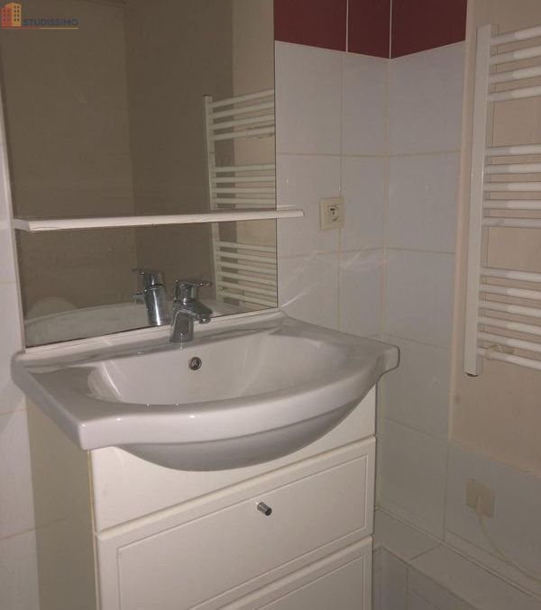Studio 29m² Saint-Étienne - lumineux - Photo 2