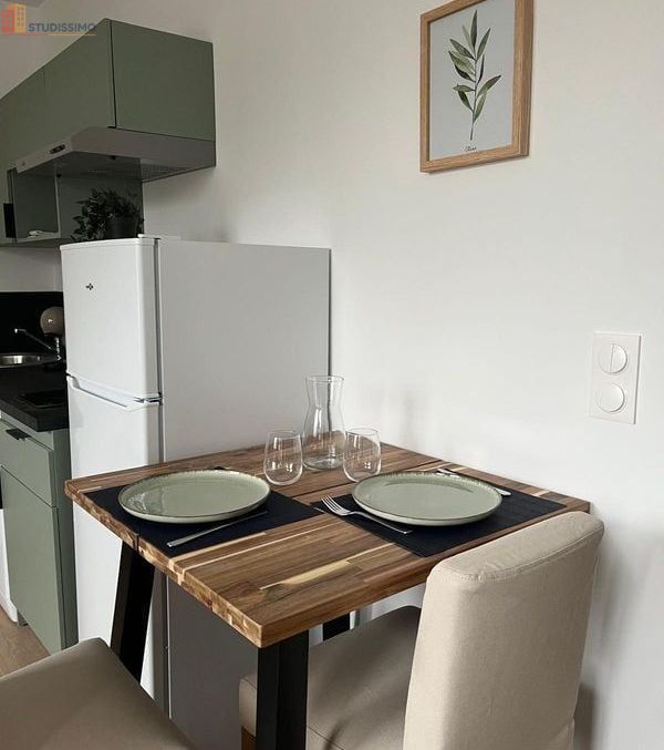 Studio meublé 19m² Saint-Étienne 42100 - Meublé, DPE D - Photo 21