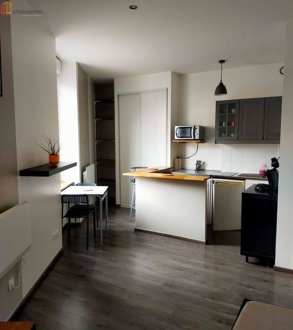 Studio meublé 29m² Saint-Étienne 42100 - Proche université - Photo 4