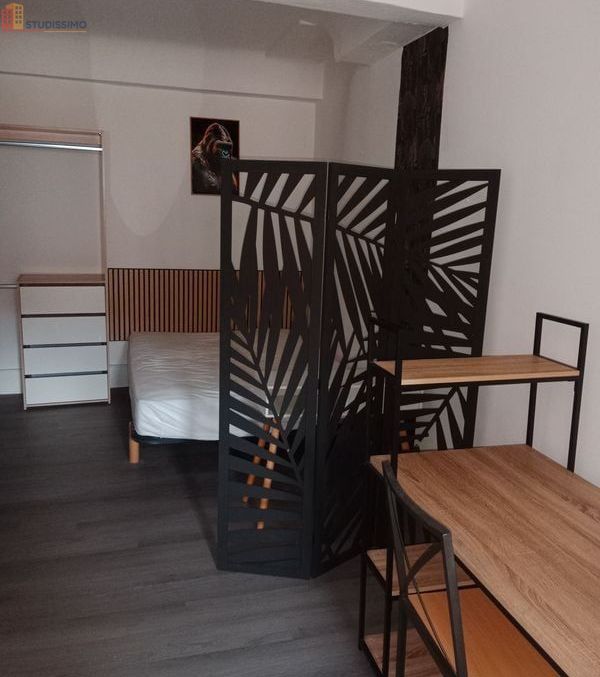Studio meublé 20m² Montbrison - Centre-ville, meublé - Photo 10