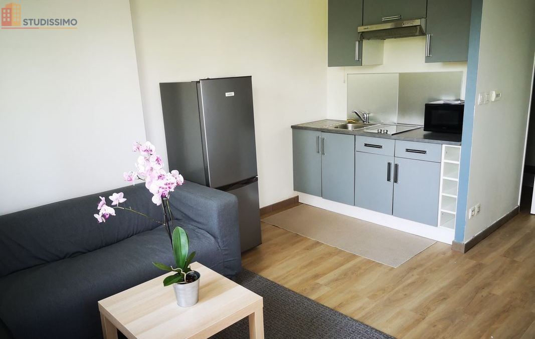 Studio meublé 24m² Saint-Étienne 42000 - Terrasse, chauffage compris - Photo 13