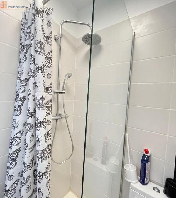 Studio meublé 18m² Saint-Étienne 42000 - Meublé, DPE D - Photo 9