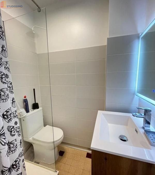 Studio meublé 18m² Saint-Étienne 42000 - Meublé, DPE D - Photo 7