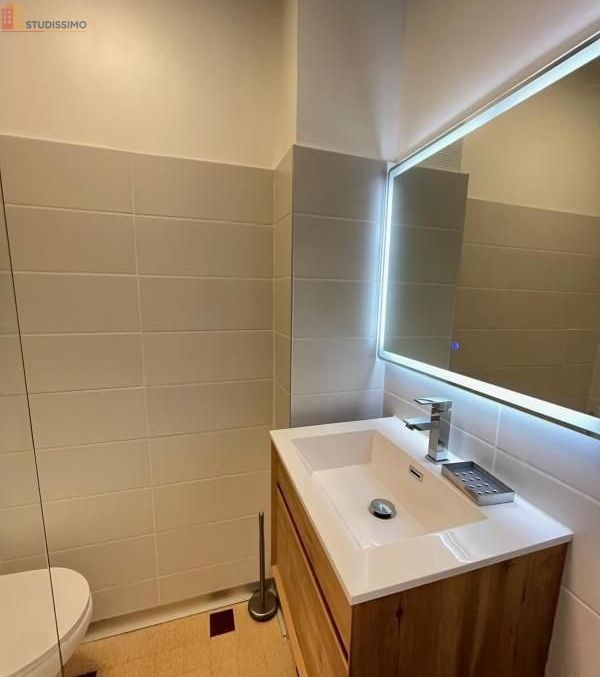 Studio meublé 18m² Saint-Étienne 42000 - Meublé, DPE D - Photo 2