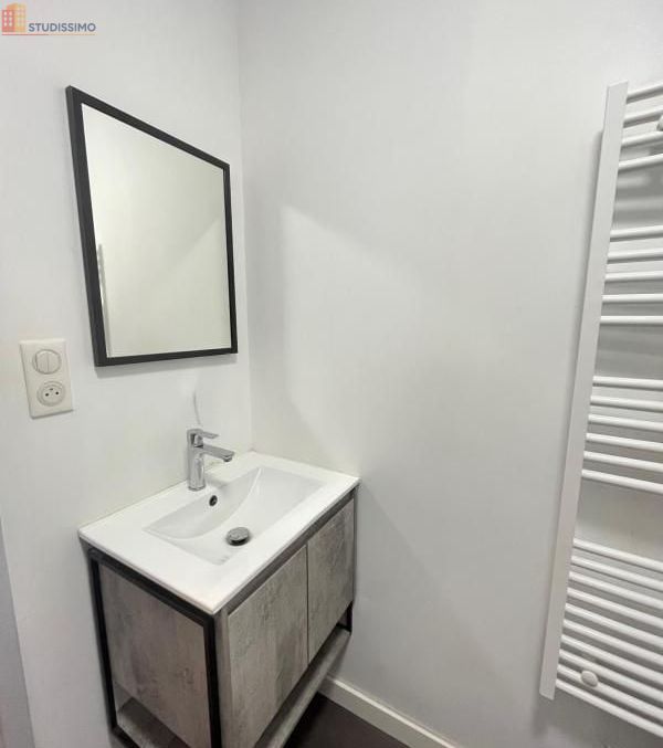 Studio meublé 17m² Saint-Étienne 42000 - Meublé, DPE C - Photo 15