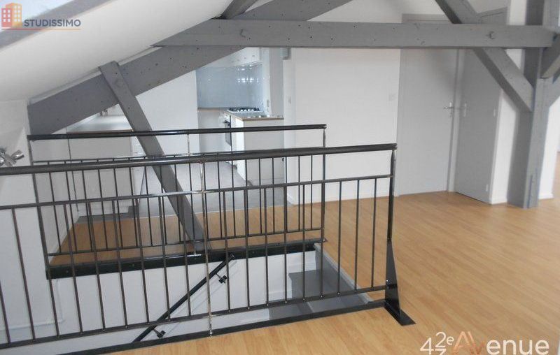 Studio 49m² Saint-Étienne 42000 - Lumineux, atypique - Photo 29