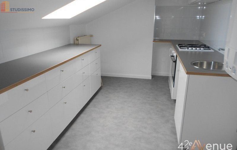 Studio 49m² Saint-Étienne 42000 - Lumineux, atypique - Photo 26
