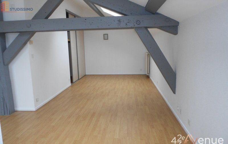 Studio 49m² Saint-Étienne 42000 - Lumineux, atypique - Photo 23