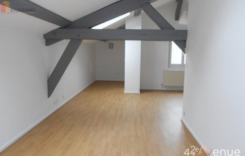 Studio 49m² Saint-Étienne 42000 - Lumineux, atypique - Photo 22