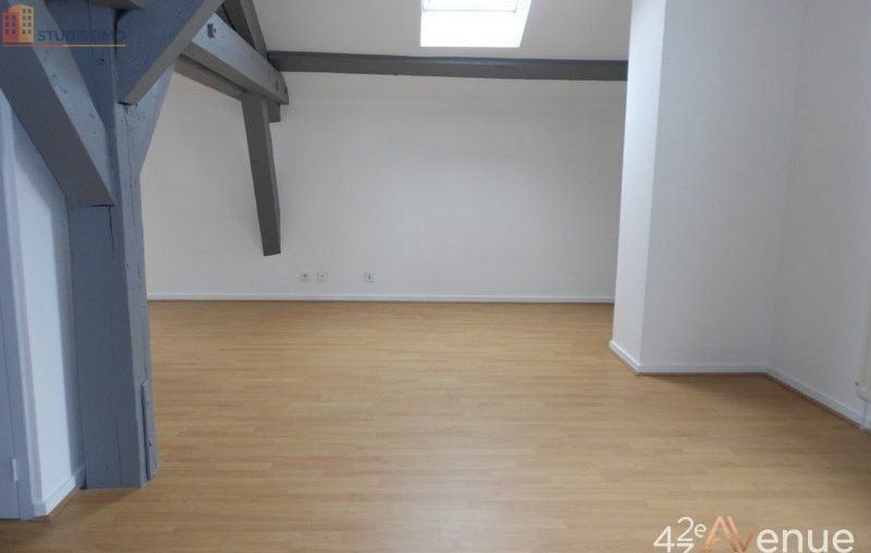 Studio 49m² Saint-Étienne 42000 - Lumineux, atypique - Photo 24