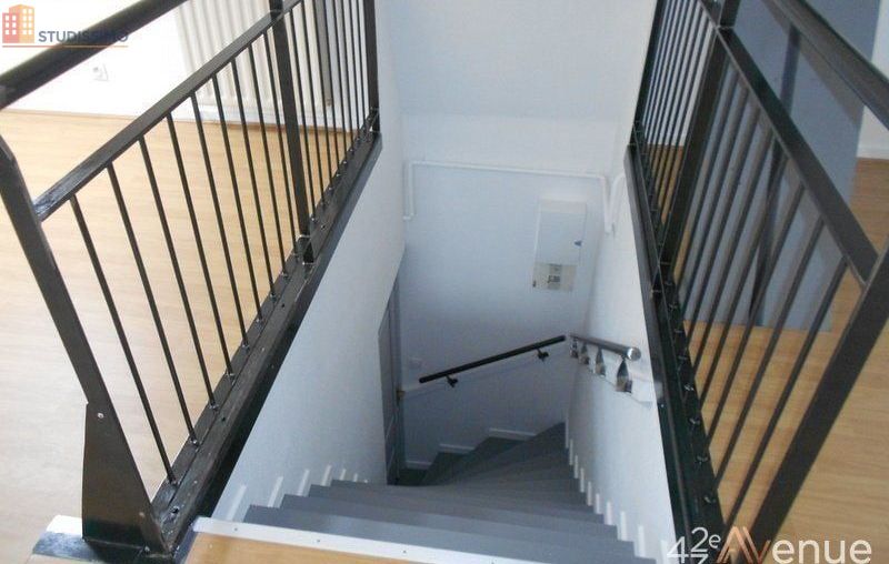 Studio 49m² Saint-Étienne 42000 - Lumineux, atypique - Photo 17