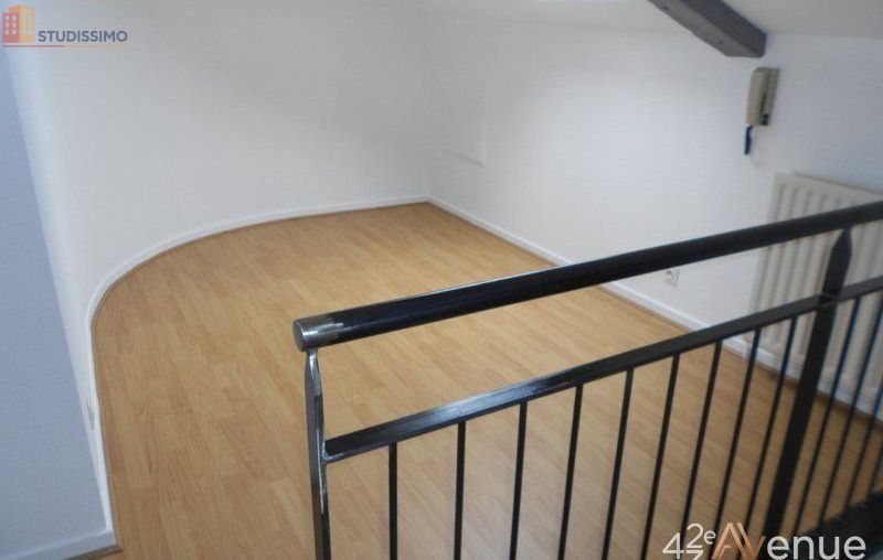 Studio 49m² Saint-Étienne 42000 - Lumineux, atypique - Photo 8