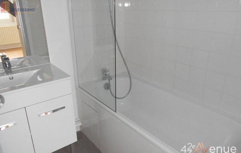 Studio 49m² Saint-Étienne 42000 - Lumineux, atypique - Photo 7