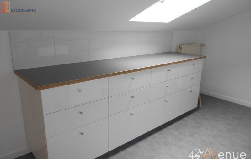 Studio 49m² Saint-Étienne 42000 - Lumineux, atypique - Photo 3