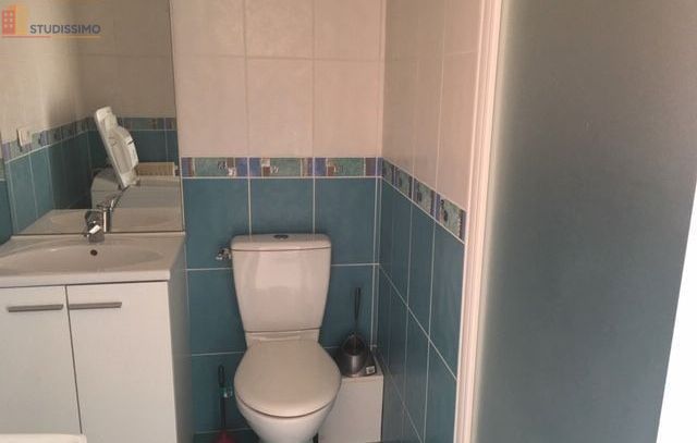 Studio 35m² Roanne 42300 - Dernier étage, lumineux - Photo 2