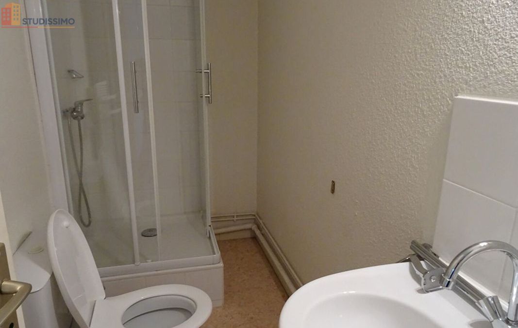 Studio 44m² Roanne - Étage élevé, lumineux - Photo 15