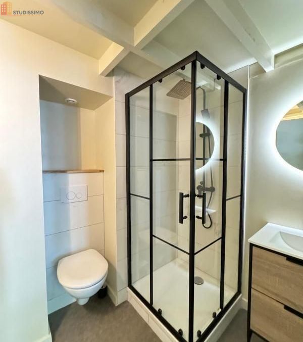 Studio meublé 23m² Saint-Étienne - Meublé, DPE C - Photo 27