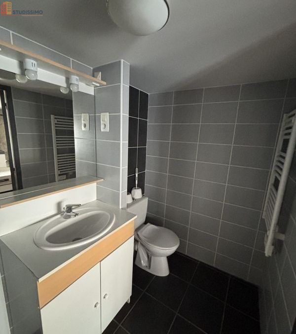Studio meublé 28m² Saint-Étienne 42100 - Meublé, 1 pièce - Photo 13
