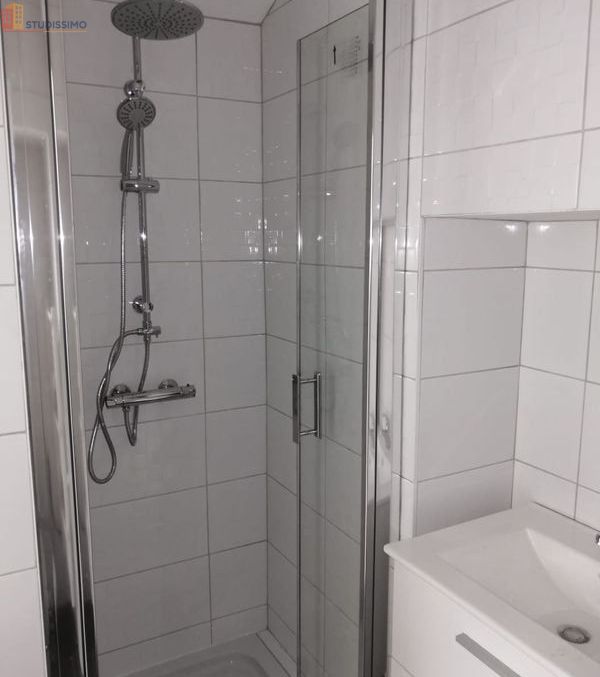 Studio meublé 36m² Saint-Étienne 42000 - Centre-ville, lumineux - Photo 8