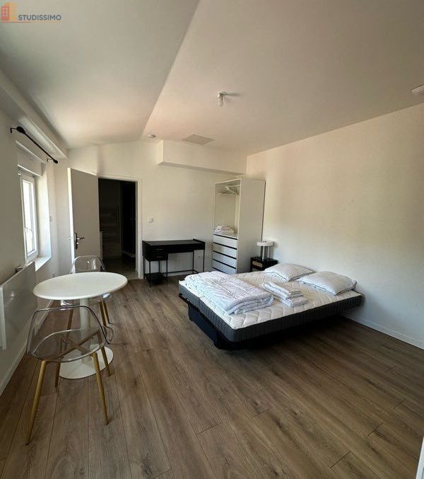 Studio meublé 21m² Saint-Étienne centre - Lumineux, proche Place Carnot - Photo 6