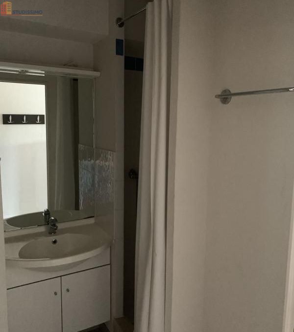 Studio meublé 19m² Saint-Priest-en-Jarez - Meublé, 19m² - Photo 20