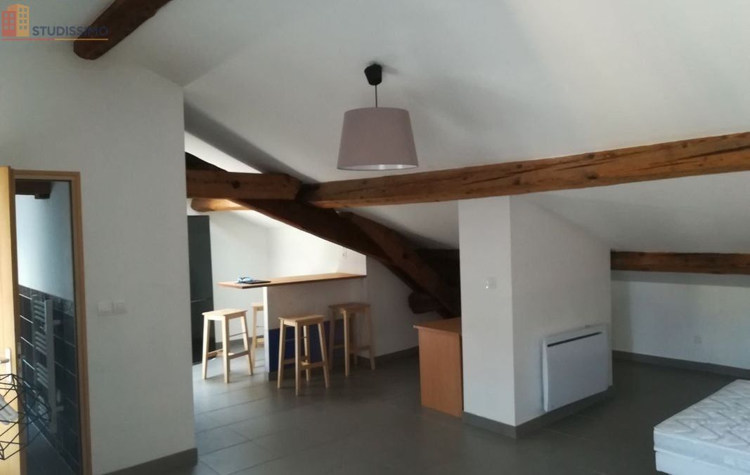 Studio meublé 43m² Saint-Étienne 42000 - Grand, dernier étage - Photo 1