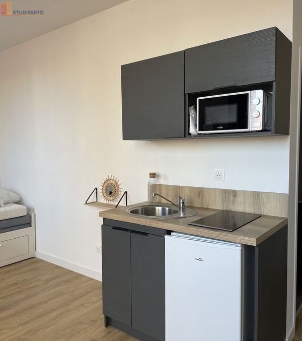 Studio 21m² Saint-Étienne - Meublé, DPE D - Photo 4