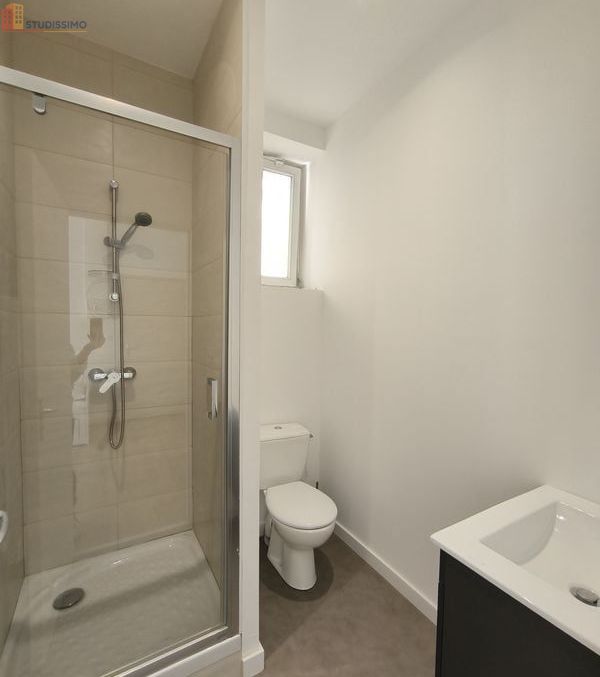 Studio 21m² Saint-Étienne - Meublé, DPE D - Photo 1
