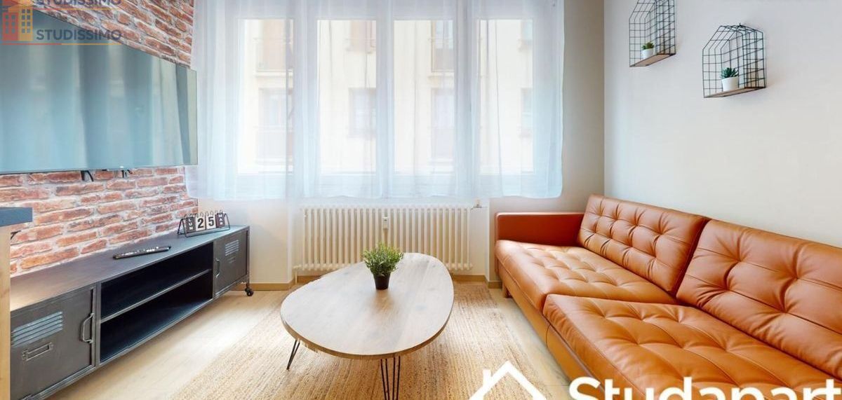 Studio meublé 12m² Saint-Étienne - Meublé, DPE A - Photo 24