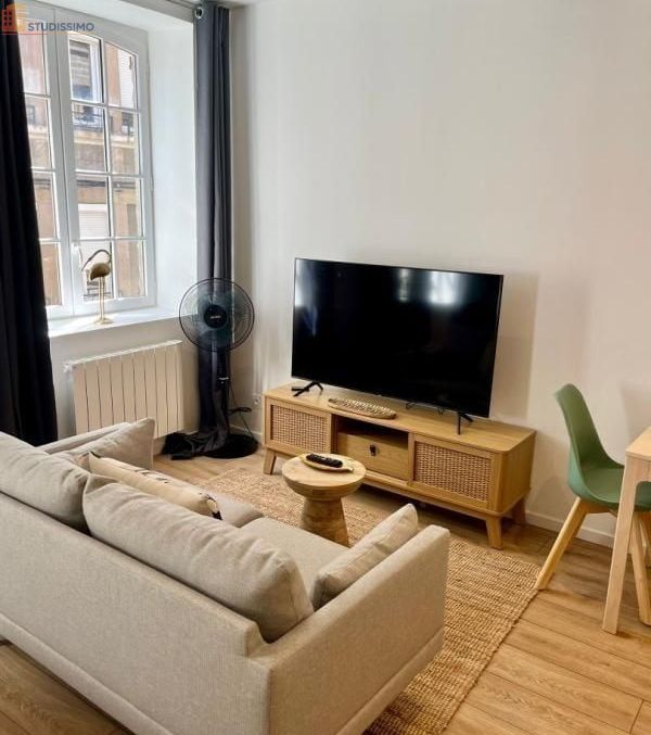 Studio 29m² Saint-Étienne 42000 - Meublé, DPE A - Photo 13
