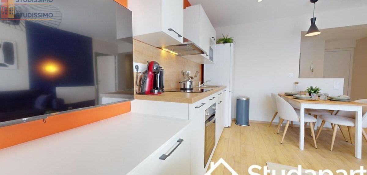 Studio meublé 12m² Saint-Étienne 42100 - Meublé, DPE A - Photo 7