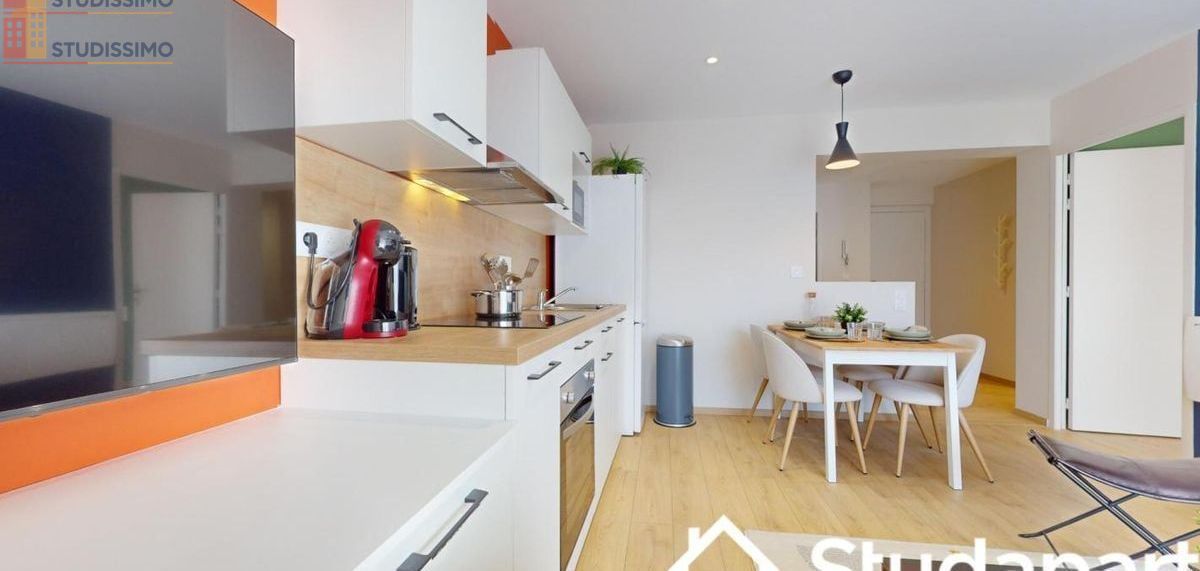 Studio meublé 12m² Saint-Étienne 42100 - Meublé, DPE A - Photo 4