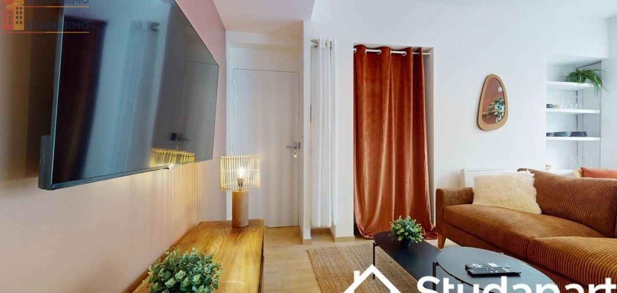 Studio meublé 12m² Saint-Étienne 42000 - Meublé, DPE A - Photo 11