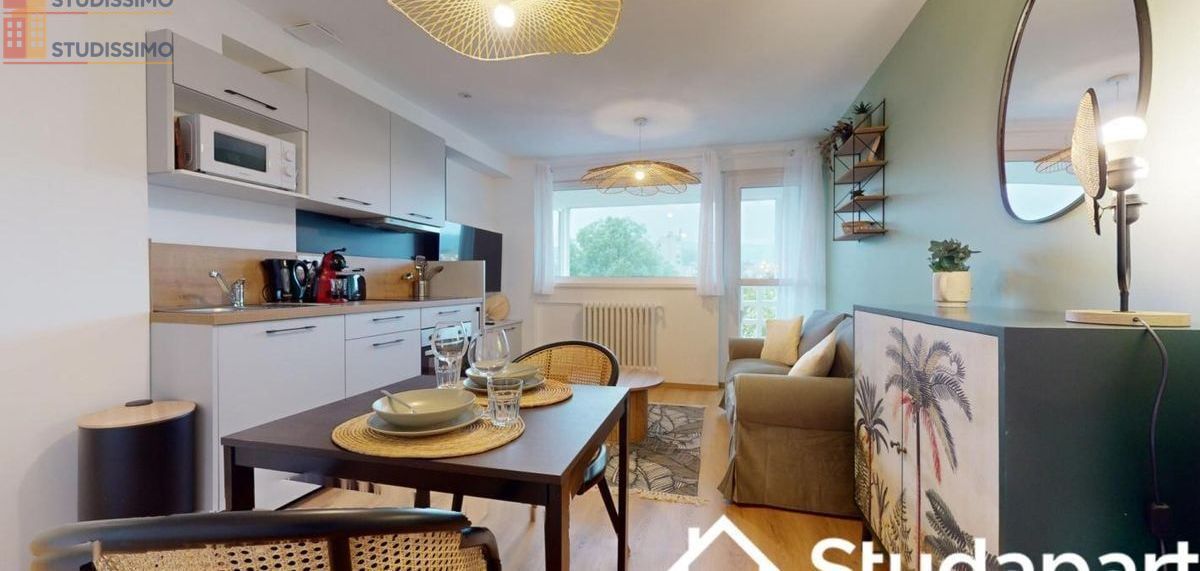 Studio 11m² Saint-Étienne 42100 - Meublé, DPE A - Photo 18