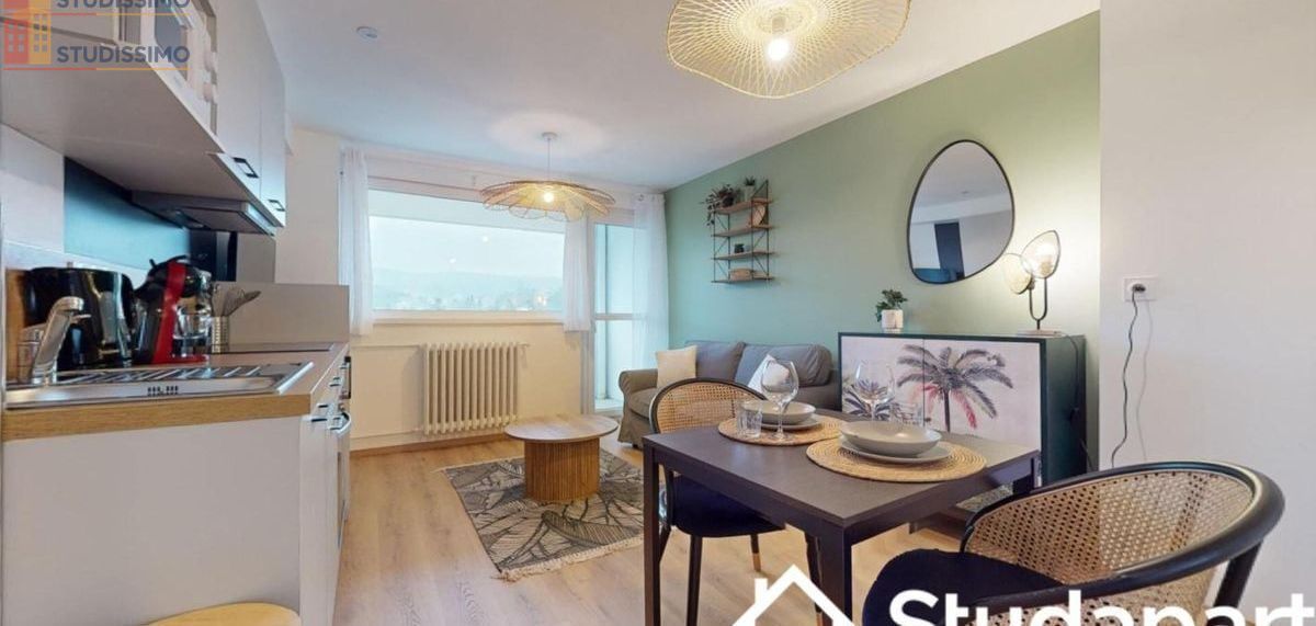 Studio 11m² Saint-Étienne 42100 - Meublé, DPE A - Photo 14