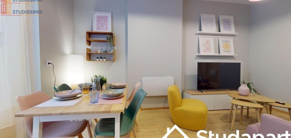 Studio meublé 12m² Saint-Étienne - DPE A, lumineux - Photo 5