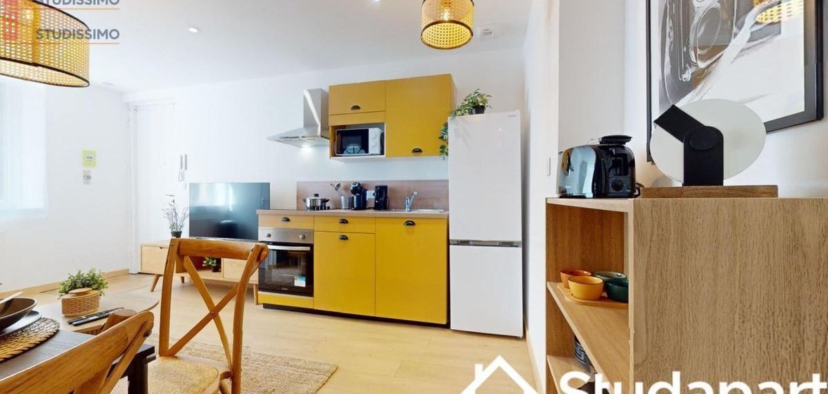 Studio meublé 9m² Saint-Étienne - Meublé, DPE A - Photo 6