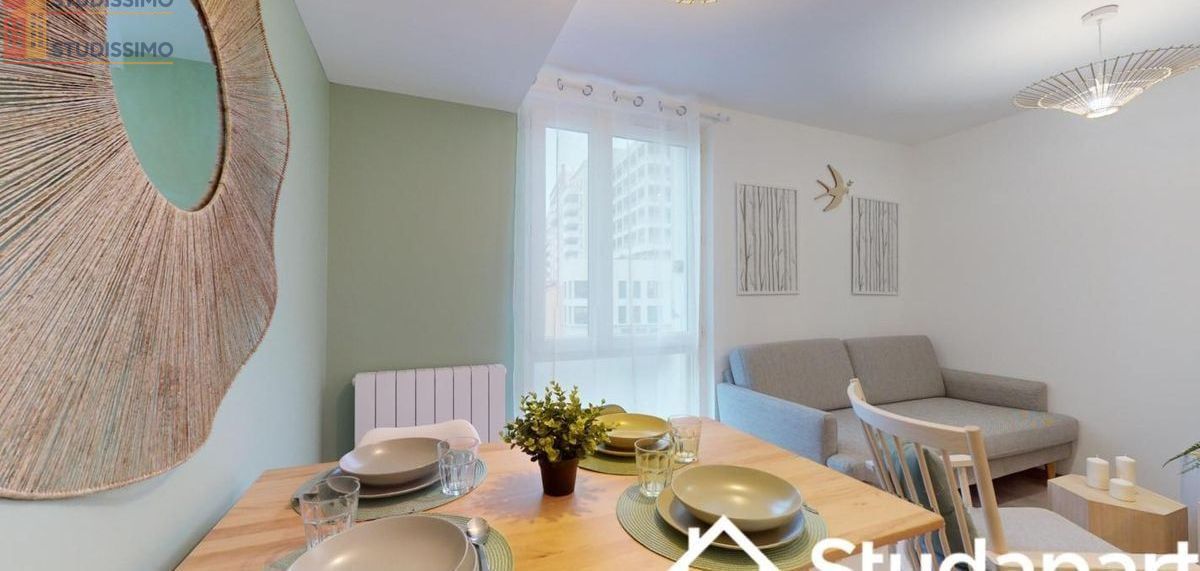Studio meublé 10m² Saint-Étienne - Meublé, DPE A - Photo 11