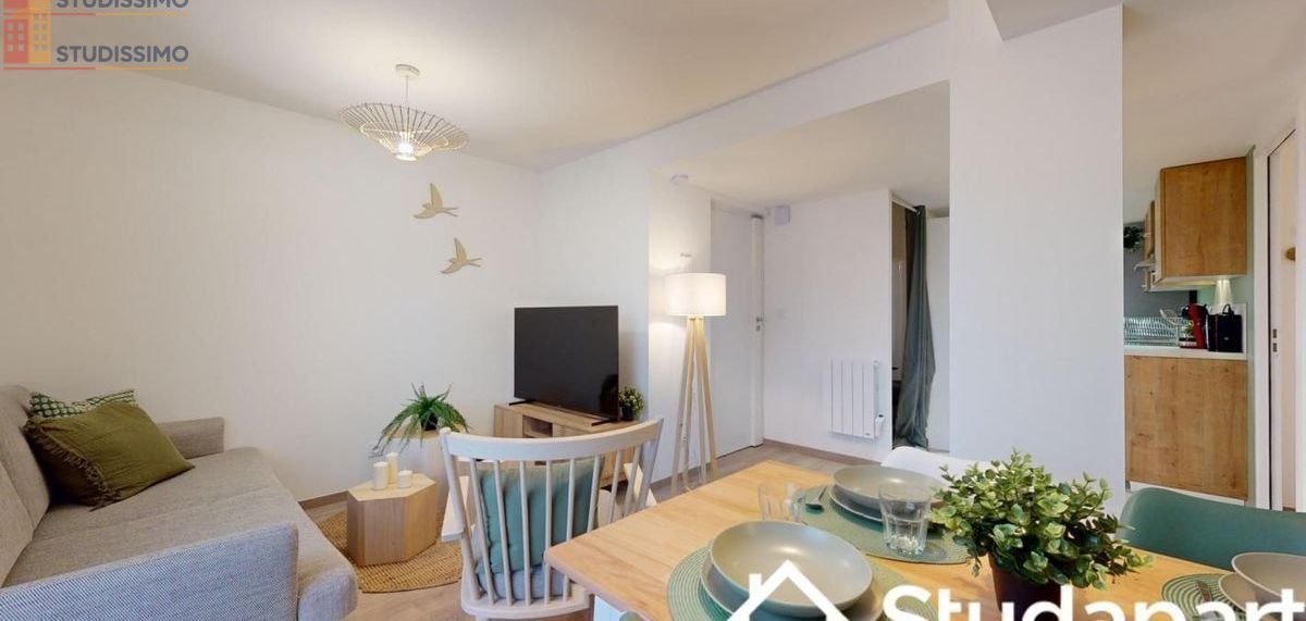 Studio meublé 10m² Saint-Étienne - Meublé, DPE A - Photo 10