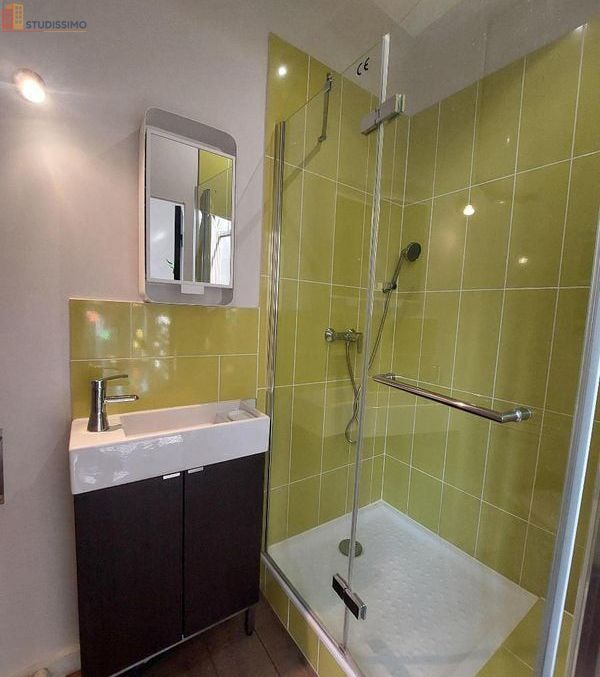Studio meublé 23m² Saint-Étienne 42000 - Meublé - Photo 15
