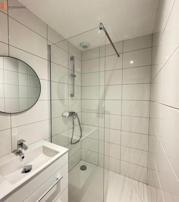 Studio meublé 18m² Saint-Étienne 42000 - Meublé, DPE C - Photo 21