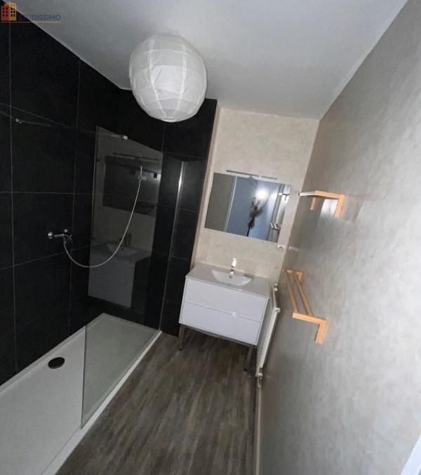 Studio 71m² Saint-Étienne 42100 - Photo 5