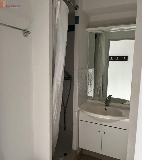 Studio meublé 19m² Saint-Priest-en-Jarez - Meublé, DPE D - Photo 3