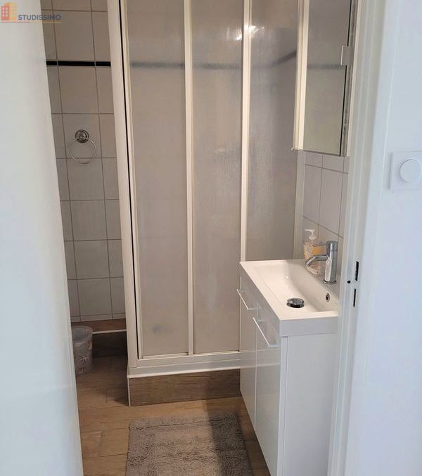 Studio meublé 31m² Saint-Étienne 42100 - Entièrement rénové - Photo 2