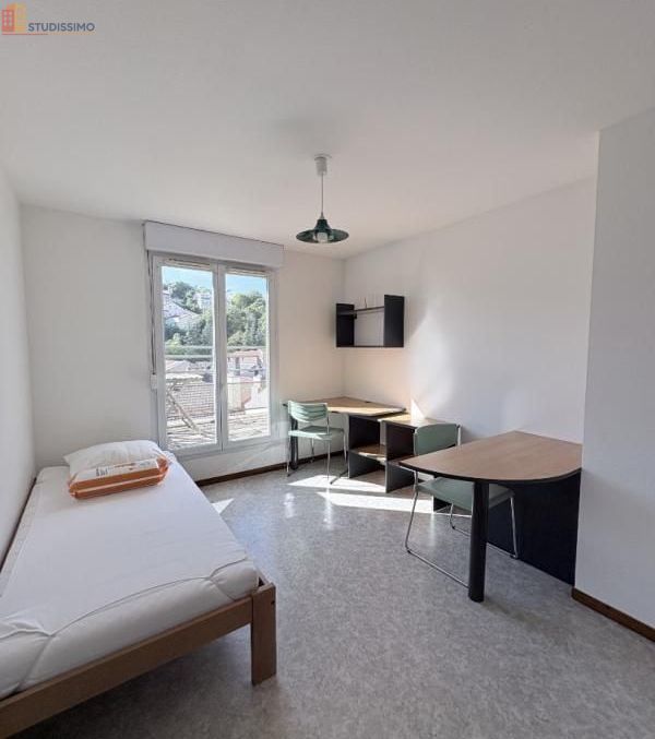 Studio meublé 18m² Saint-Étienne 42100 - Étage élevé, lumineux - Photo 29