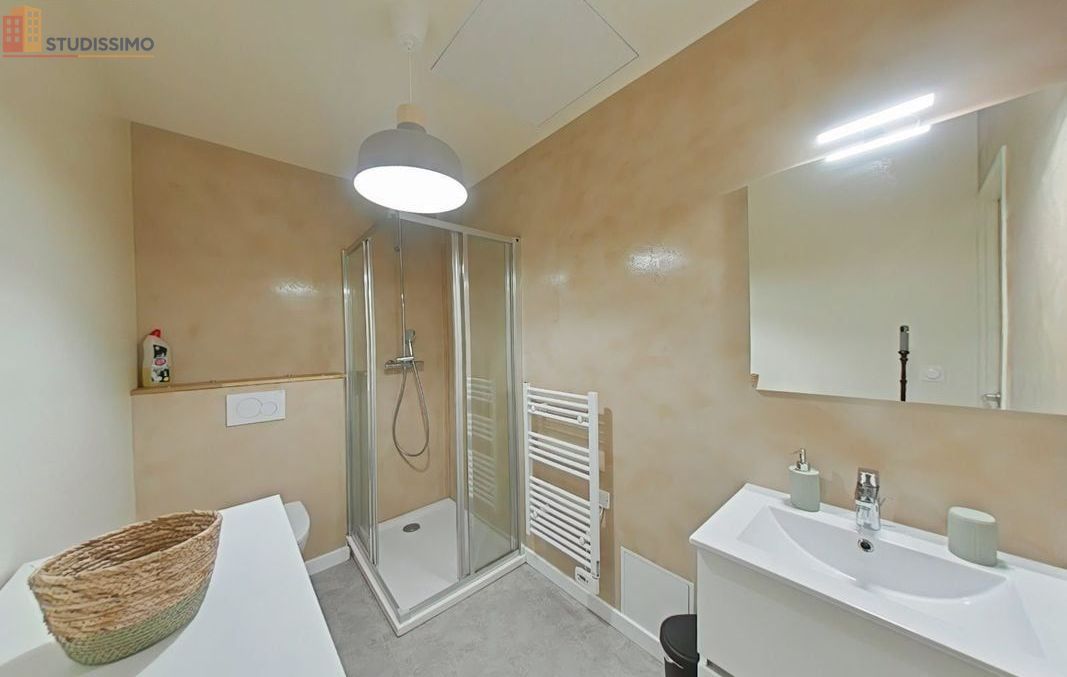 Studio 28m² Saint-Étienne 42000 - Meublé, DPE D - Photo 10
