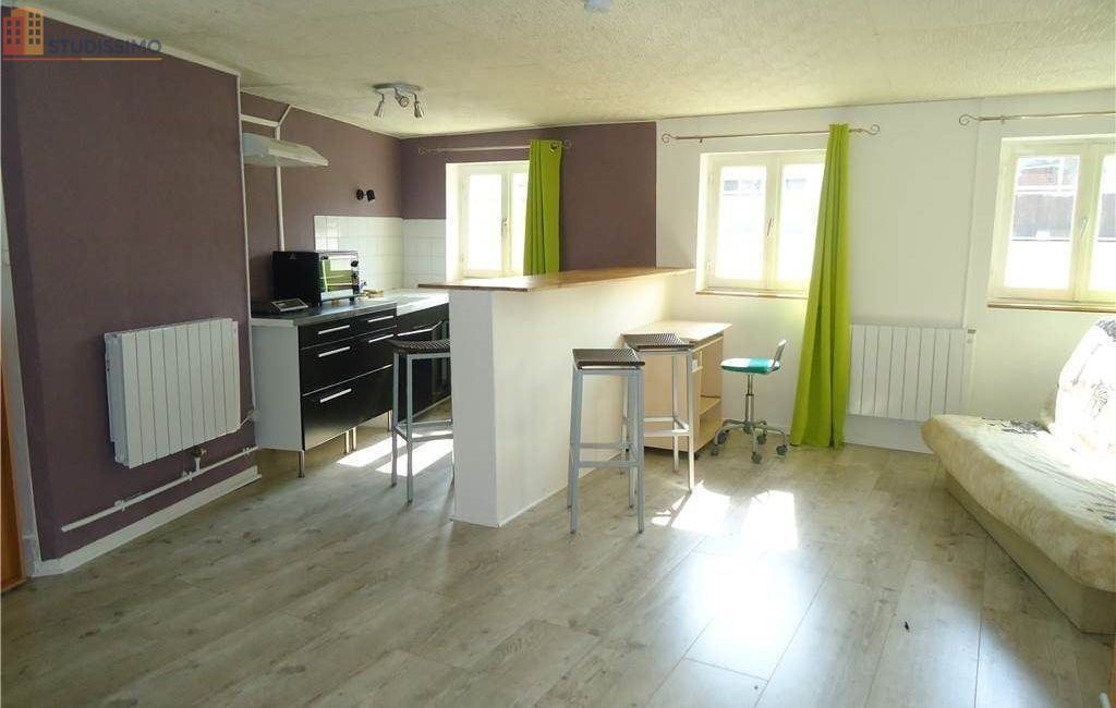 Studio meublé 30m² Saint-Étienne 42000 - Meublé, 1 pièce - Photo 11