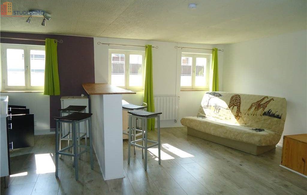 Studio meublé 30m² Saint-Étienne 42000 - Meublé, 1 pièce - Photo 10