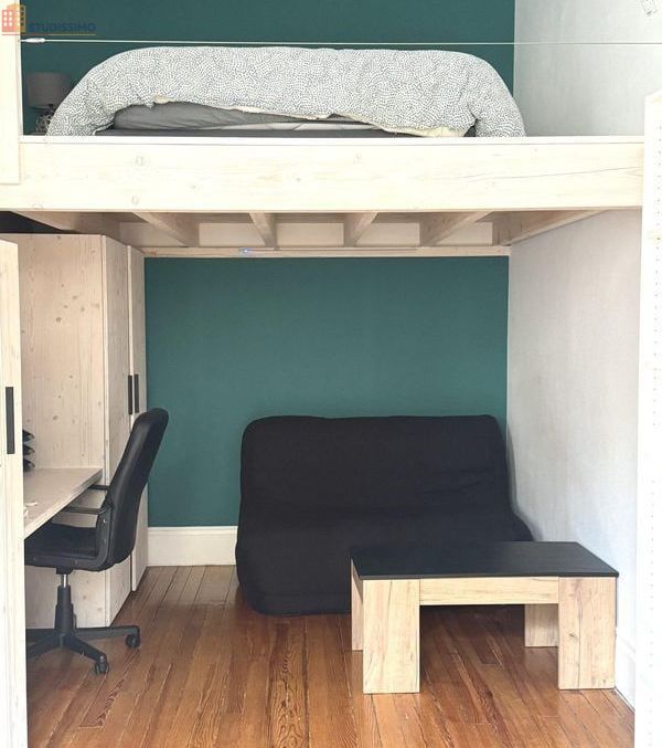 Studio meublé 35m² Saint-Étienne - Meublé, 1 pièce - Photo 24