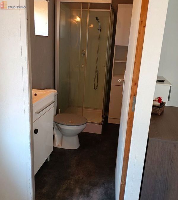 Studio meublé 20m² Saint-Germain-Lespinasse - Meublé, 2e étage - Photo 2